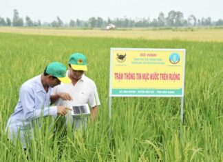 Ứng dụng công nghệ vào nông nghiệp: Người nông dân trồng lúa bằng smartphone