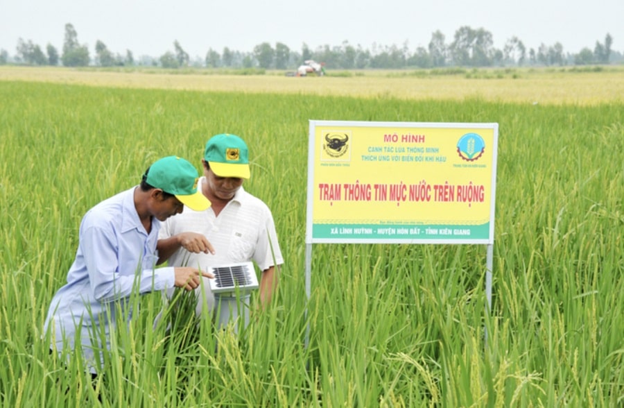 He thong quan trac muc nuoc tren dong ruong min - Ứng dụng công nghệ vào nông nghiệp: Người nông dân trồng lúa bằng smartphone