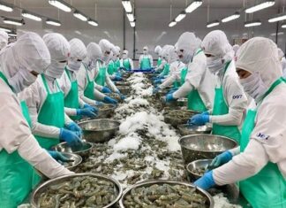 Ngành nông nghiệp tự tin với mục tiêu xuất khẩu 55 tỉ USD năm nay