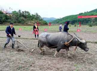 Giữ gìn văn hóa truyền thống trong lễ hội xuống đồng ở Lương Mông Mùa xuân này, xã Lương Mông (Ba Chẽ) tiếp tục duy trì và phát huy giá trị văn hóa của lễ hội Lồng Tồng, đẩy mạnh phong trào 'Toàn dân đoàn kết xây dựng đời sống văn hóa', động viên phong trào lao động sản xuất; phát triển kinh tế, quảng bá về tiềm năng, thế mạnh phát triển văn hóa, du lịch.