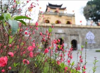 Điểm tựa vững chãi để văn sĩ, trí thức 'dấn thân' đưa đất nước phát triển
