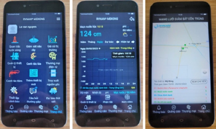 Smartphone thuc hien giam sat ruong lua min - Ứng dụng công nghệ vào nông nghiệp: Người nông dân trồng lúa bằng smartphone