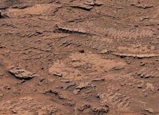 Tàu thám hiểm của NASA chụp được những hình ảnh cho thấy dấu hiệu sự sống ở Sao Hỏa Tàu thám hiểm của NASA chụp được những hình ảnh cho thấy dấu hiệu sự sống ở Sao Hỏa