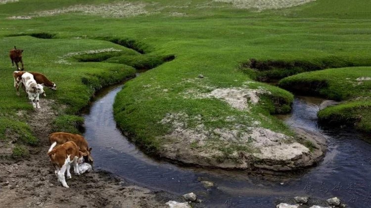 narrowest river 4 min - Con sông hẹp nhất thế giới chỉ rộng vài centimet, tồn tại suốt 100 thế kỷ