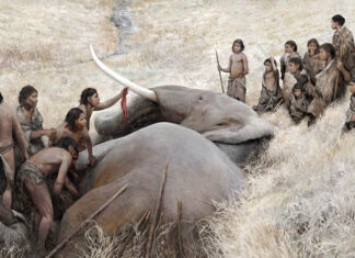 Phát hiện chấn động về loài người tối cổ Neanderthal bị tuyệt chủng cách đây 4 vạn năm