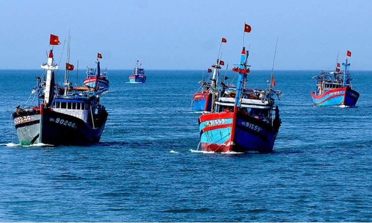 nghe ca khai thac xa bo min - Tham mưu chính sách hỗ trợ trực tiếp ngư dân, đoàn viên Nghiệp đoàn nghề cá khai thác xa bờ