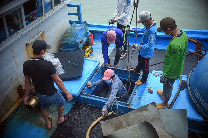 ngu dan Binh Dinh bam bien - Gần 15.000 ngư dân Bình Định bám biển xuyên tết