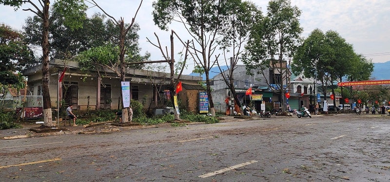 Tố lốc, mưa đá khiến nhiều cây xanh bị đổ gãy.