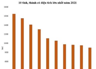 10 tỉnh, thành có diện tích lớn nhất Việt Nam