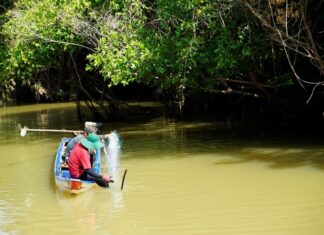 Nét đẹp hoang sơ thượng nguồn sông Vàm Cỏ Đông
