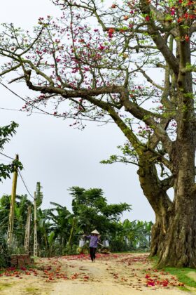 B&igrave;nh y&ecirc;n.