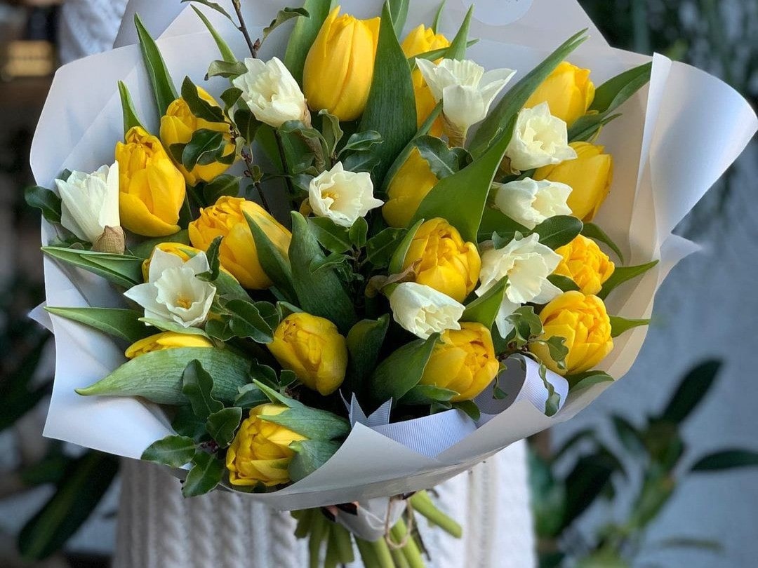 Hoa tulip là loài hoa mùa xuân tuyệt vời vừa sặc sỡ vừa thanh lịch