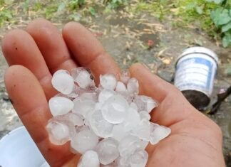 Dông, tố lốc, mưa đá xuất hiện ở huyện miền núi Nghệ An