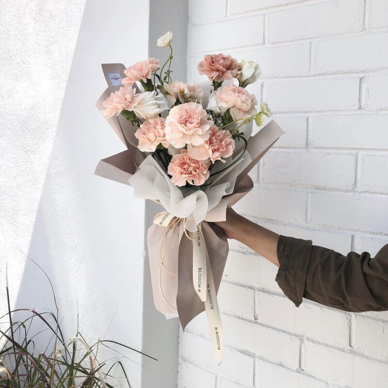 Hoa cẩm chướng, có tên là Dianthus trong tiếng Hy Lạp nghĩa là "bông hoa thần thánh"