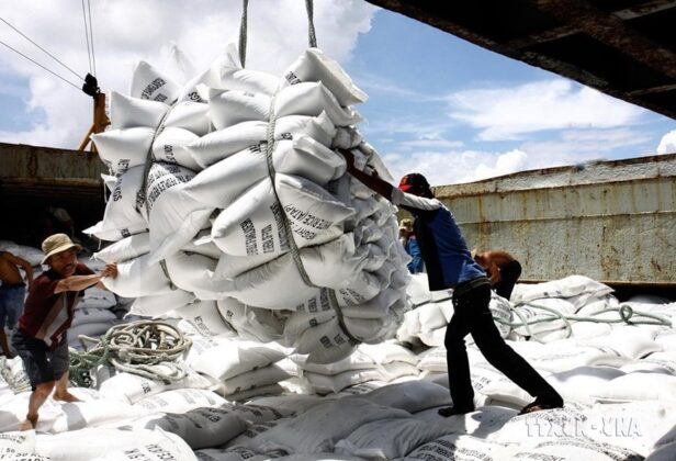 Bốc xếp gạo xuất khẩu sang thị trường Malaysia tại Cảng S&agrave;i G&ograve;n. Ảnh: Đ&igrave;nh Huệ - TTXVN