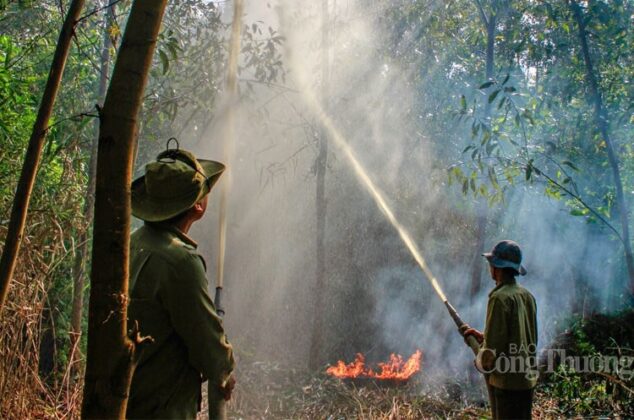 C&aacute;c lực lượng l&agrave;m nhiệm vụ ph&ograve;ng ch&aacute;y, chữa ch&aacute;y rừng ở Vườn quốc gia U Minh Hạ đều được tập huấn nghiệp vụ kỹ lưỡng