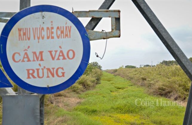 Trong Vườn quốc gia U Minh Hạ, Biển cấm v&agrave; biển dự b&aacute;o cấp ch&aacute;y rừng được dựng l&ecirc;n ở những nơi c&oacute; người v&agrave; phương tiện thường xuy&ecirc;n lưu th&ocirc;ng