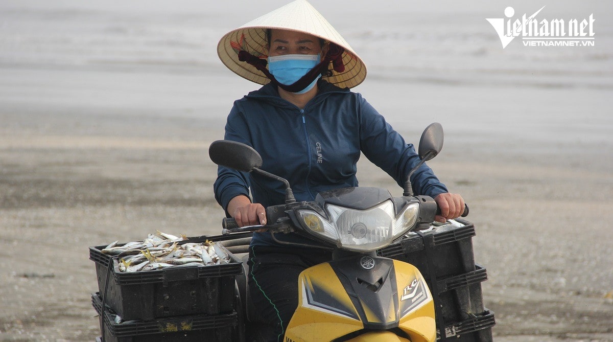 Ngoài việc thương lái đến mua thì nhiều hộ đóng thùng chở đi bán