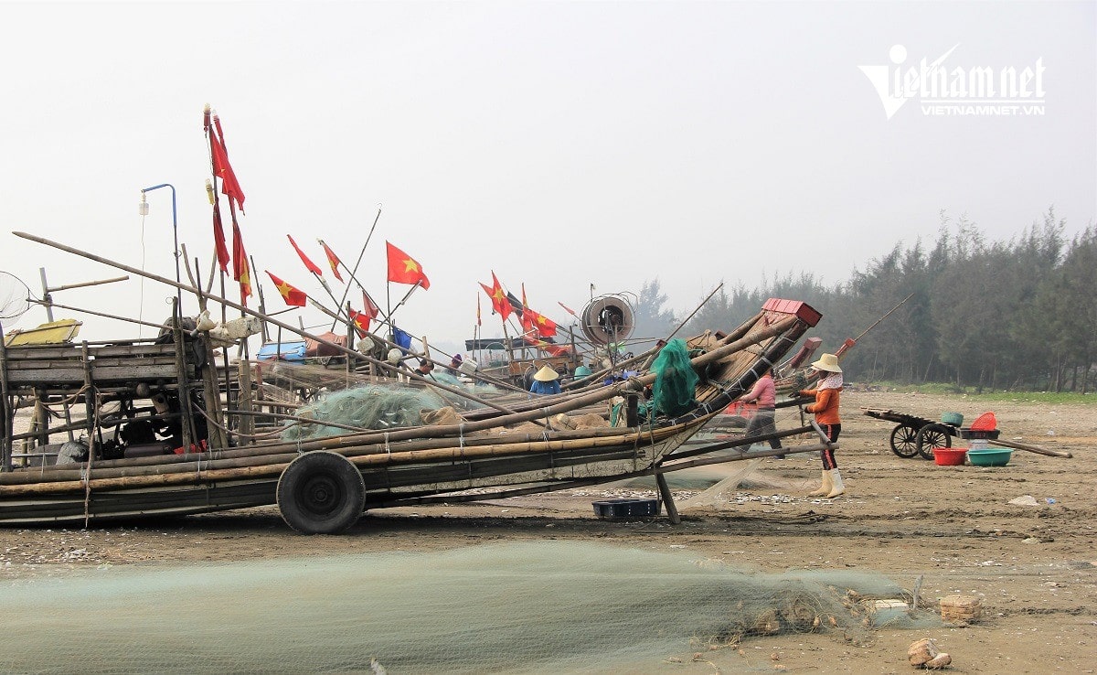Mùa đánh bắt cá trích mang lại thu nhập cho ngư dân vùng bãi ngang Diễn Châu