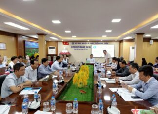 Đề án 1 triệu ha lúa ở Đồng bằng sông Cửu Long và ý tưởng vùng lúa ứng dụng công nghệ cao