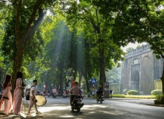 Để cây xanh mãi là dấu ấn của Hà Nội