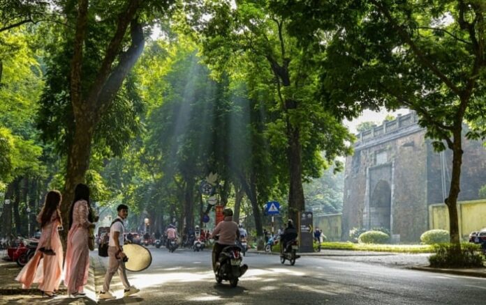 Để cây xanh mãi là dấu ấn của Hà Nội Để cây xanh mãi là dấu ấn của Hà Nội