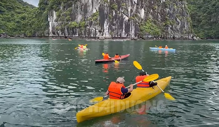 Du khách tự chèo thuyền kayak để thưởng ngoạn trọn vẹn vẻ đẹp của vịnh Lan Hạ
