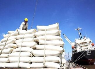 Nâng sức cạnh tranh cho gạo Việt Nam Nâng sức cạnh tranh cho gạo Việt Nam