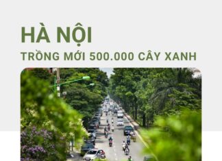 Hà Nội lên kế hoạch trồng mới nửa triệu cây giai đoạn năm 2021-2025