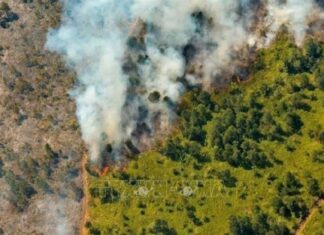 Cuba đã kiểm soát được đám cháy rừng kéo dài hơn 18 ngày