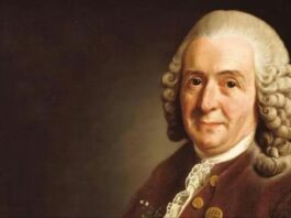 Một thoáng văn học Thụy Điển: Linné-nhà thực vật học, nhà văn du ký [kỳ cuối] - Tác giả: Hữu Ngọc