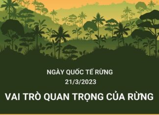 Ngày quốc tế Rừng 21/3/2023: "Rừng và Sức khỏe"