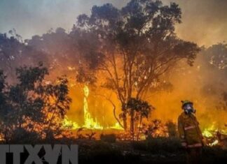 Cháy rừng tại Australia khiến lỗ thủng tầng ozone ở Nam Cực rộng thêm