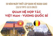 Infographic : Quan hệ hợp tác Việt Nam - Vương quốc Bỉ