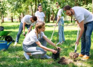Thanh niên hành động vì khí hậu trên toàn cầu