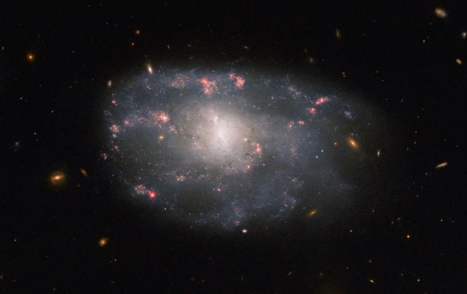 Thien ha NGC 5486 min - Kính Hubble chụp ảnh thiên hà vô định hình