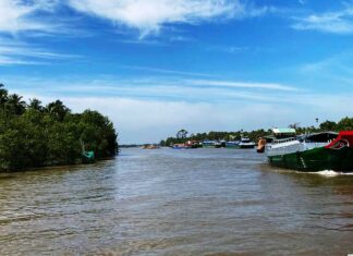 Vàm Kỳ Hôn ở Tiền Giang với giai thoại vua Gia Long phong tước Đại tướng quân cho một con rái cá