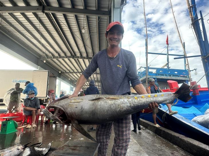 Bám biển xuyên Tết, ngư dân Quảng Ngãi đánh bắt được cá ngừ đại dương lên đến hơn 30kg/con.