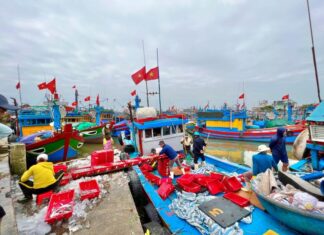 Chở nặng ‘lộc biển’ từ ngư trường Hoàng Sa, Trường Sa Chở nặng “lộc biển” từ ngư trường Hoàng Sa, Trường Sa