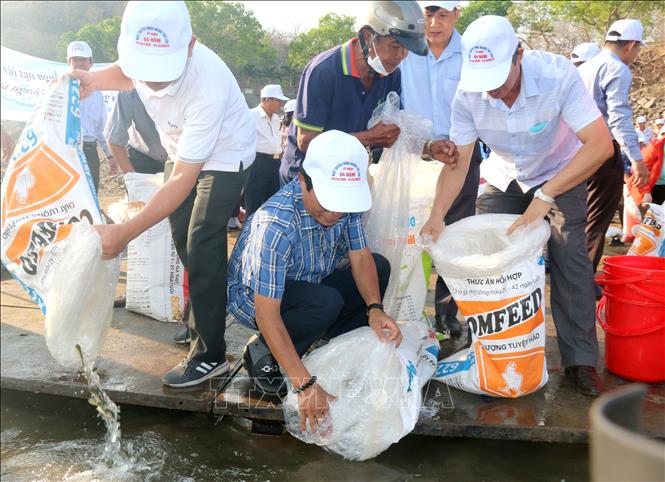 Các đại biểu thả cá giống xuống hồ hồ Sông Quao để tái tạo nguồn lợi thủy sản.