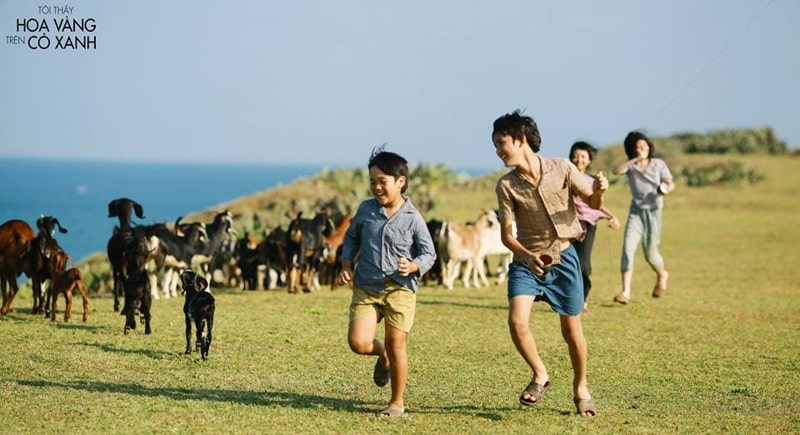 Tuần phim kỷ niệm 80 năm 'Đề cương về Văn hóa Việt Nam' và ngày thống nhất đất nước