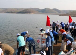 Bình Thuận, Cần Thơ thả con giống tái tạo nguồn lợi thủy sản ​