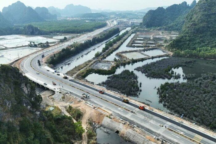 3 min 1 - Vì sao rừng ngập mặn ven đường bao biển Quảng Ninh 'hồi sinh' thần kỳ?