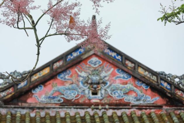 3 min 14 630x420 - Chiêm ngưỡng vẻ đẹp của hoa Ngô đông trong hoàng cung Huế