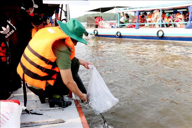 Việc thả cá giống tái tạo nguồn lợi thủy sản là hoạt động thiết thực và có ý nghĩa thể hiện trách nhiệm của tổ chức, cá nhân cùng chung tay bảo vệ bảo tồn, tái tạo nguồn lợi thủy sản.