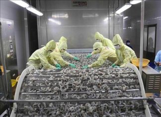 Đồng bằng sông Cửu Long phát triển kinh tế tuần hoàn – Bài 1: Chuyển đổi tư duy sản xuất Đồng bằng sông Cửu Long phát triển kinh tế tuần hoàn - Bài 1: Chuyển đổi tư duy sản xuất