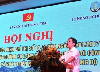 Phát triển rừng bền vững tại khu vực Bắc Trung Bộ Phát triển rừng bền vững tại khu vực Bắc Trung Bộ