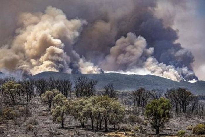 Khoi boc len tai dam chay rung o vung Ksar Sghir min - Lượng khí thải CO2 tăng mạnh do cháy rừng ở Bắc bán cầu