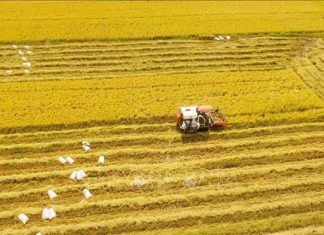 Đồng bằng sông Cửu Long phát triển kinh tế tuần hoàn – Bài cuối: Tạo nền kinh tế tiết kiệm Đồng bằng sông Cửu Long phát triển kinh tế tuần hoàn - Bài cuối: Tạo nền kinh tế tiết kiệm
