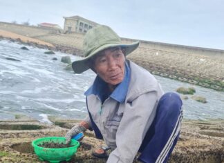 Đời mưu sinh nghề rong biển bên ghềnh đá